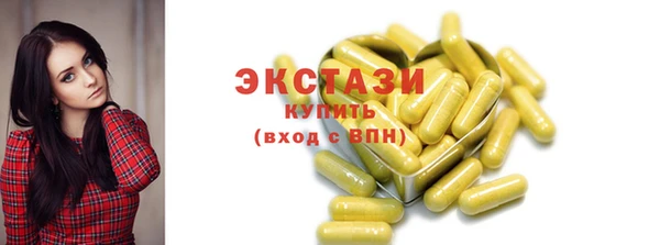 гидра Галич