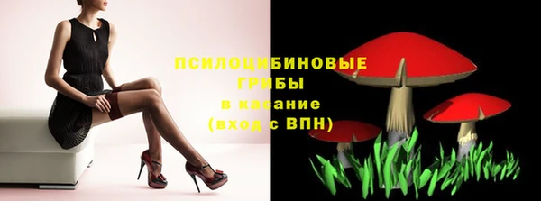 герыч Новозыбков