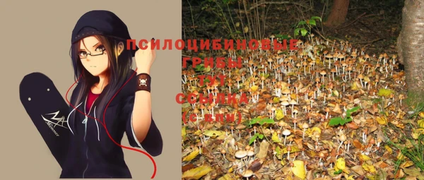 стафф Нефтегорск