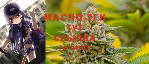 гидра Галич