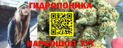 МДПВ Дубна