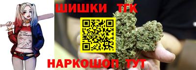 МДПВ Дубна