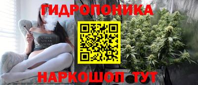 МДПВ Дубна