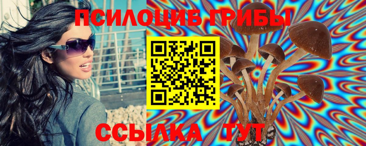 Солнечногорск  Галлюциногенные грибы GOLDEN TEACHER  Вход с VPN  Псилоцибиновые грибы MAGIC MUSHROOMS 